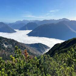 Oberhalb des Nebels lässt es sich dann halt..