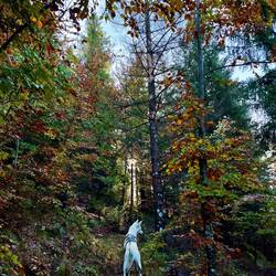 Ab hier endet recht schnell..