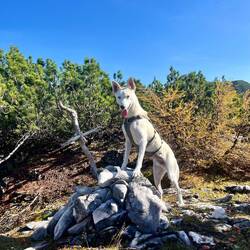 Das mächtige Kreuz des Buttergupfs war zum Glück nicht..