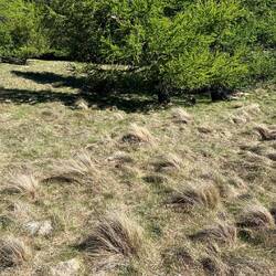 Wer findet den Hasen