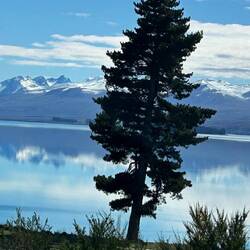 Auf dem Weg zum Mount John
