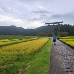 ...sowie das größte Torii-Tor der Welt: 33 m hoch und 42 m breit