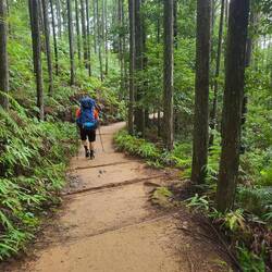 Der Weg bot immer wieder abwechslungsreiche Eindrücke...