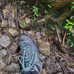 Das Äquivalent zur deutschen Nacktschnecke, nur hübscher: die Krabbe, nicht der Fuß