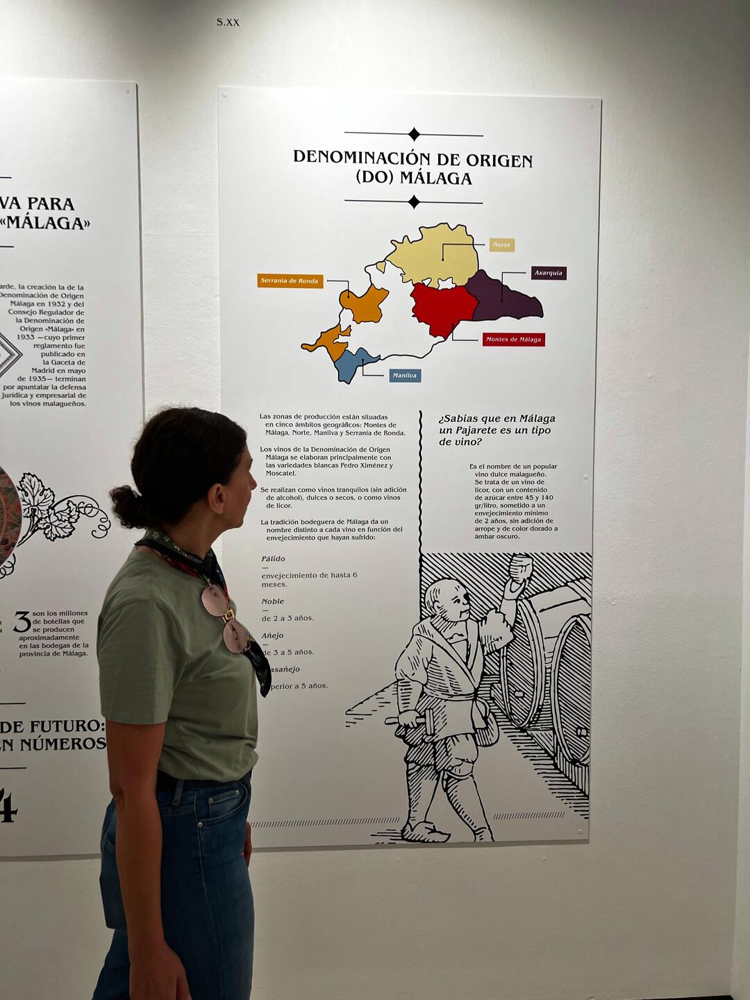 Inma takes in a display at an exhibit about Málaga's wine over the years.