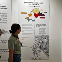 Inma takes in a display at an exhibit about Málaga's wine over the years.