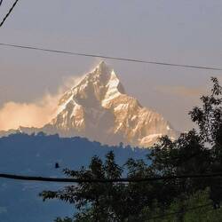 Machapuchare (Fischschwanz)
