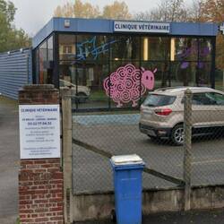 We used a local Vet for Niska's UK return travel paperwork