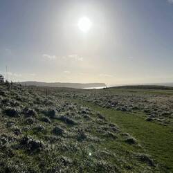 On the walk from the house