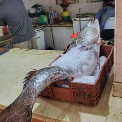 Den haben wir allerdings liegen gelassen 😜