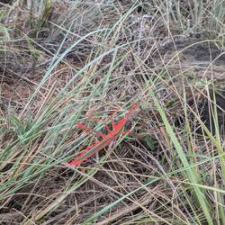 Hier die Auflösung 🤗