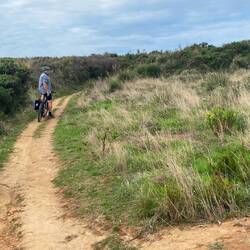 Im Nationalpark wurde es unwegsam