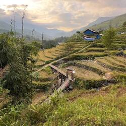 Wunderschöne Reisfelder