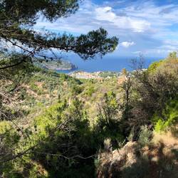 Climbing and more climbing