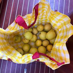 Tomi, our mechanic, brought us a bag full of lemons!!!!