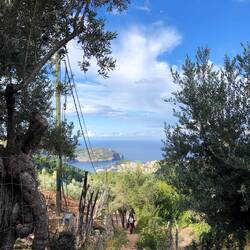 While the guys were fixing the motor, the girls went on a 10km hike