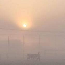Frühmorgens ist es immer sehr neblig