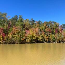 Colors are really starting to peak.