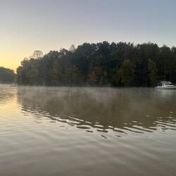 Mystery Girl and Sunbeam in the whispy fog this morning.