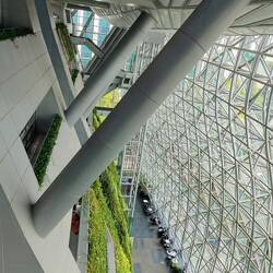 Waben und vertikaler Garten im Rathaus