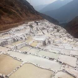 Die Salzbecken, in Summe 3000(!) Stück