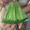 Jugo natural