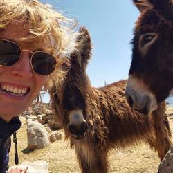 Baby Esel waren auch am Start 😍