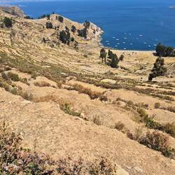 Selbstverständlich gabs hier ebenfalls Terrassen
