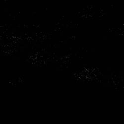 Unsere Glühwürmchen Sichtung 😃