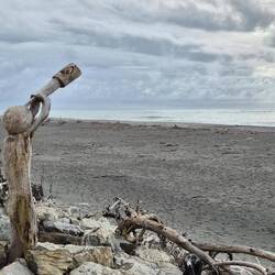 Was man alles aus Treibholz so schnitzen kann