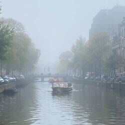 Mystery in the mist.