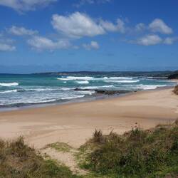 Das hätte die Alternative sein können 🙄
