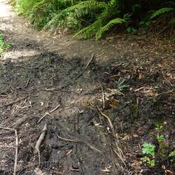 Matsch auf dem Weg - hier bin ich umgekehrt