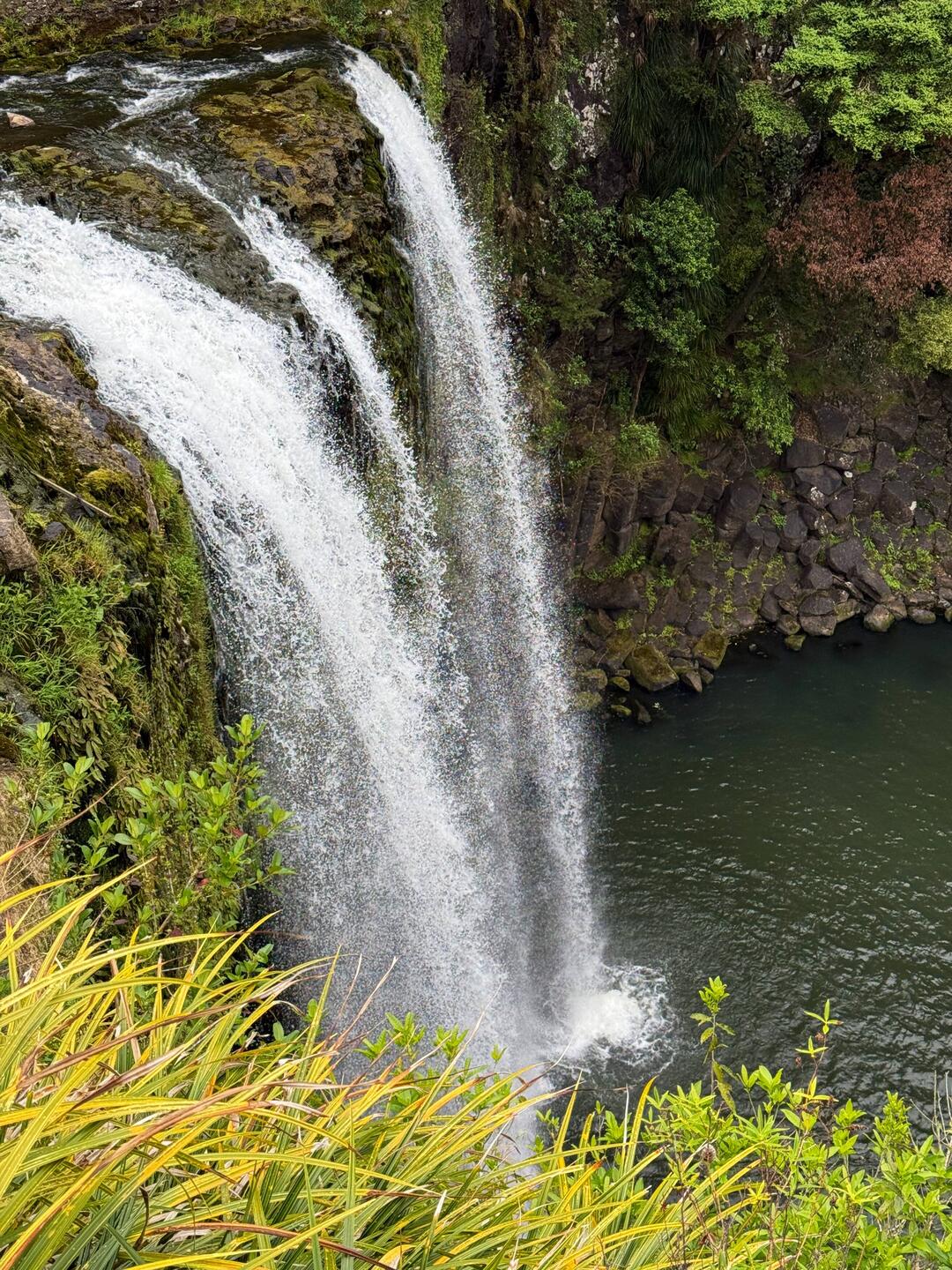 Whangarei Falls