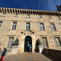 University of Medicine