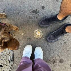 Tiny bit it says Montpelier