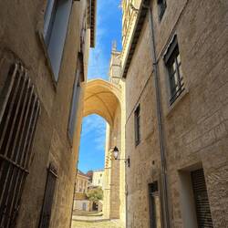 Arc ceiling at St Peter's