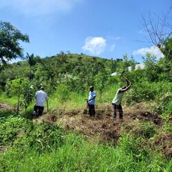 Die Jungs bei der Arbeit