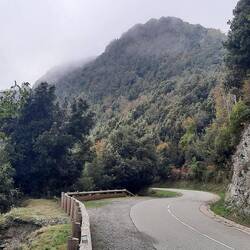 Castagniccia