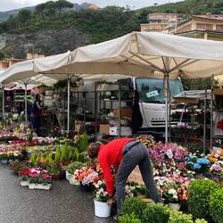 Markttag in Levanto