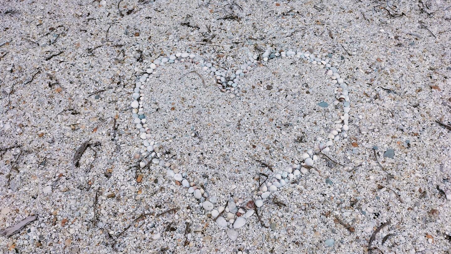 Jeder Tag bringt etwas neues