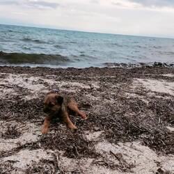 Windig & frisch, aber trocken um am Strand zu chillen