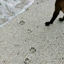 Der andere den Strand