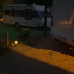 Neue Einteilung nach dem Ausflug