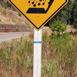 Achtung! Krokodile fressen hier Meteoriten!