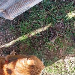 Seine Beute... gerettet und lebt