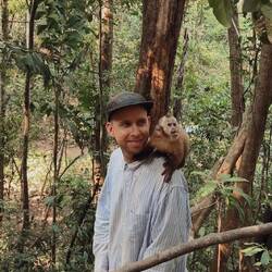 Loki, einer der 3 Kapuzineraffen