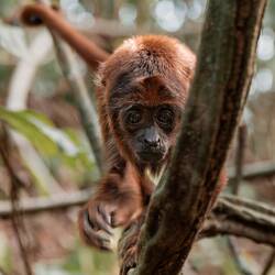 Freya, das jüngste Baby