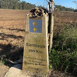 Only 209 km to go 🤣