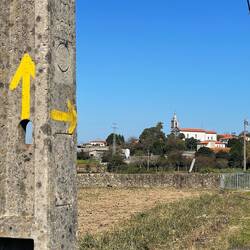 I was so glad to get back to the Camino trail, less traffic and easy signs to follow.